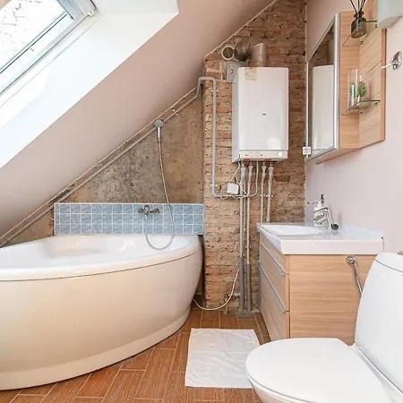 With Sauna Apartment Vilnius