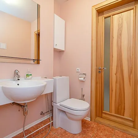 With Sauna Vilnius