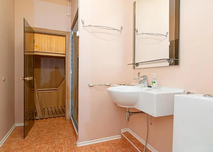 With Sauna Διαμέρισμα Βίλνιους